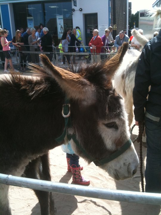 Mayfair 2010 6