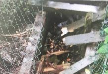 Around £1,000 damage caused as vandals smash up Ballinderry Rivers Trust boardwalk