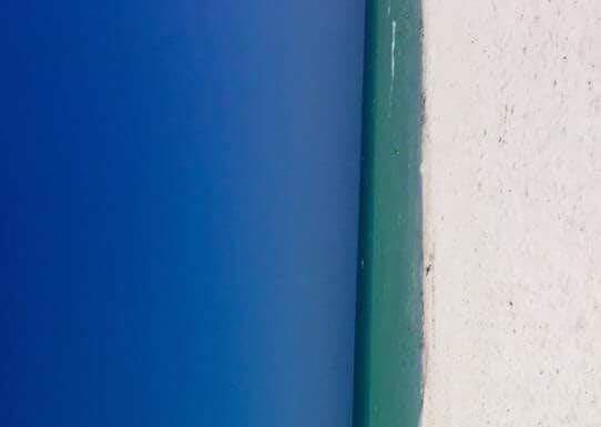 Is this beach/door photo the new blue and black dress?
