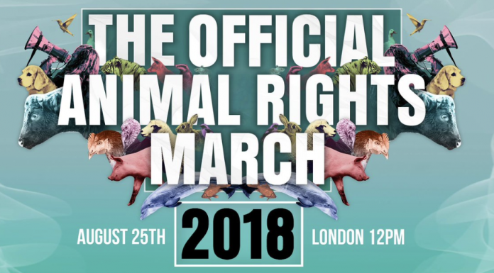 Thousands take to streets of London and around the world for animal rights marches