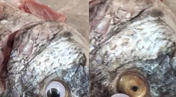 ‘Eye’ don’t believe it – Kuwait shop caught sticking googly eyes on fresh fish