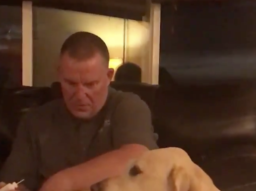 All dog-eared – when the dog really wants a massage….