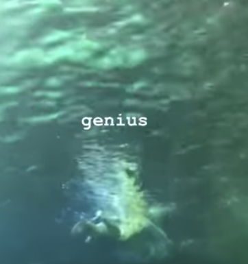 WATCH: Naked man jumps into shark tank in Canada aquarium A man was filmed swimming naked in a shark tank.