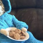 US embassy in Australia issues apology for wrongly sending out Cookie Monster cat email invitation The Cookie Monster cat email.