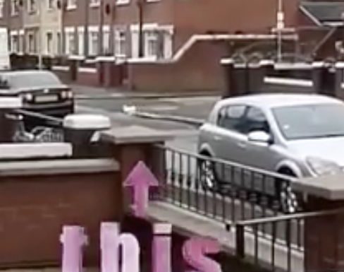 Why did the chicken cross the road in west Belfast?