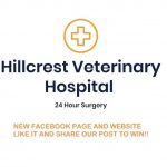 Pets search for owners before being put to sleep – vet Hillcrest.