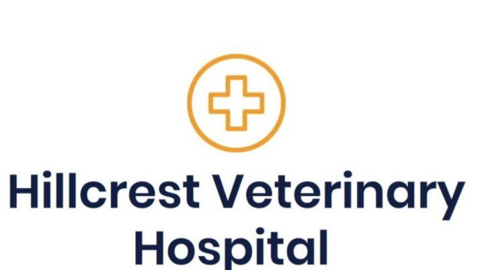 Pets search for owners before being put to sleep – vet Hillcrest.