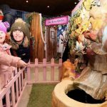 Ballymena buzzing with bill of festive fun