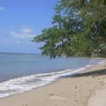 Why now is the best time to book a holiday Now's the time to book a holiday.