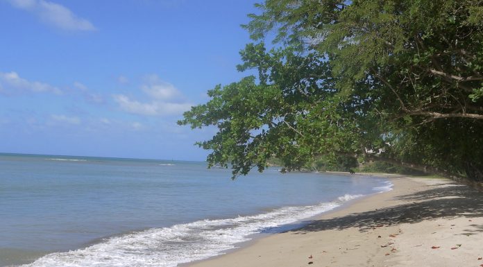 Why now is the best time to book a holiday Now's the time to book a holiday.