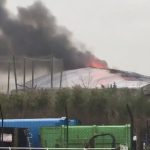 WATCH: investigation underway following fire at Chester Zoo A fire has broken out at Chester Zoo.