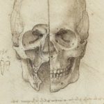 Art work by Leonardo da Vinci will be displayed at the Ulster Museum Leonardo Da Vinci: A Life In Drawings