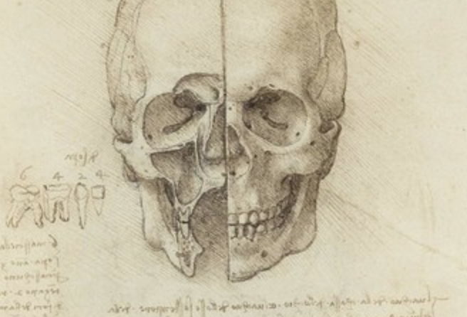 Leonardo Da Vinci: A Life In Drawings