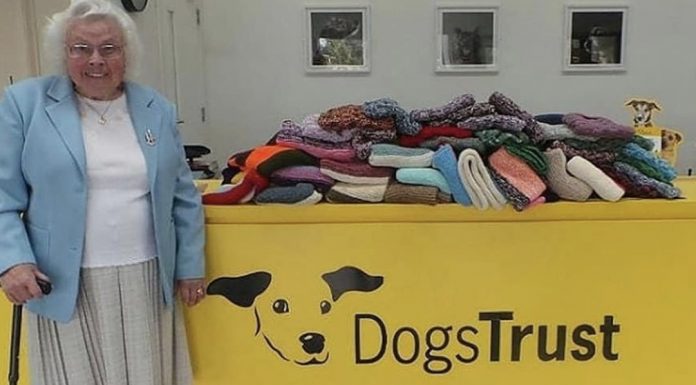 What a yarn! Maisie (89) knits sweaters for puppies Maisie Green.