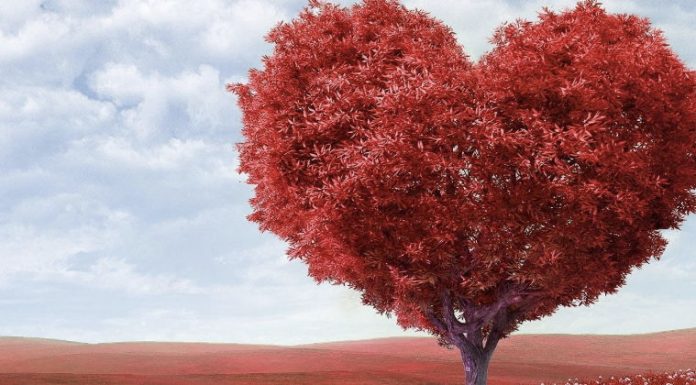 When you go the extra mile for Valentine’s Day…. Be my Valentine.