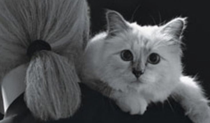 Karl and Choupette.