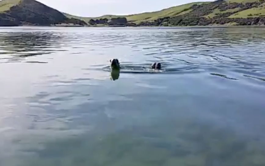 A video clip from the USB.