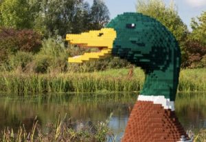 Lego Trail at Castle Espie.