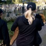 Photo of hunt saboteur with injured fox in North Down prompts fury Pic by Hunt Saboteurs NI.