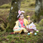 Get wild for adventure in the woodland at Monkstown