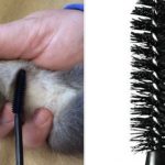 Have you any old mascara wands?