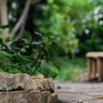 Ten tips to prepare your new-build garden for summer