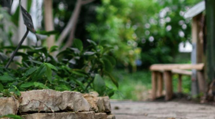 Ten tips to prepare your new-build garden for summer
