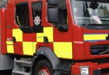 Over 1,500 pigs die in shed fire in Kilkeel