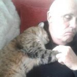 Man recovering from surgery wakes up to find random cat snuggling up with him