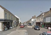 ‘Substantial’ seizure of 350 cannabis plants worth £180,000 in Keady