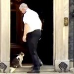Podium Guy and Larry steal the Downing Street show