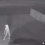 WATCH: Home security footage shows ‘alien’ creature