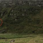 Wheelchair user has ‘miraculous’ escape after falling from cliff path at Giant’s Causeway