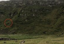 Wheelchair user has ‘miraculous’ escape after falling from cliff path at Giant’s Causeway