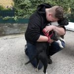 Dog reunited with Antrim family THREE YEARS after she was stolen