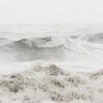 Storm Ciara: bring pets inside as 80mm of rain is forecast