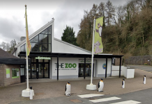Belfast Zoo could face closure over Sinn Fein motion