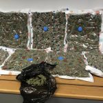 Cannabis worth over £200,000 seized in Belfast