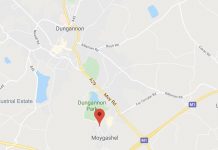 Baby and toddler rescued after arsonists strike in Moygashel