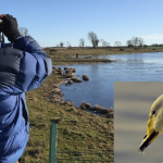 What’s on – January 17, 2020