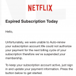 Fake ‘Netflix’ subscription email targeting householders