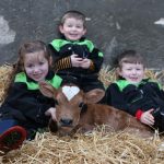 ‘Udder’ love: cow with heart shape is born on Valentine’s Day