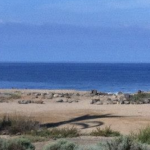 Do NOT flock to the beach – stay home and save lives