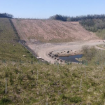 Going green by planting trees at old landfill site near Cookstown