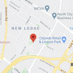 Petrol bombs thrown at police in second night of north Belfast disorder