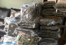 Two arrests after £2m cannabis seizure in Belfast