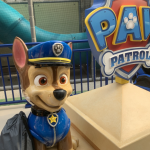 Paw Patrol is not cancelled