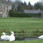 Galgorm Castle to host Irish Open golf