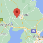 Body of ‘skinned’ and ‘tortured’ cat found in Ahoghill