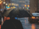 Roads opened after storm